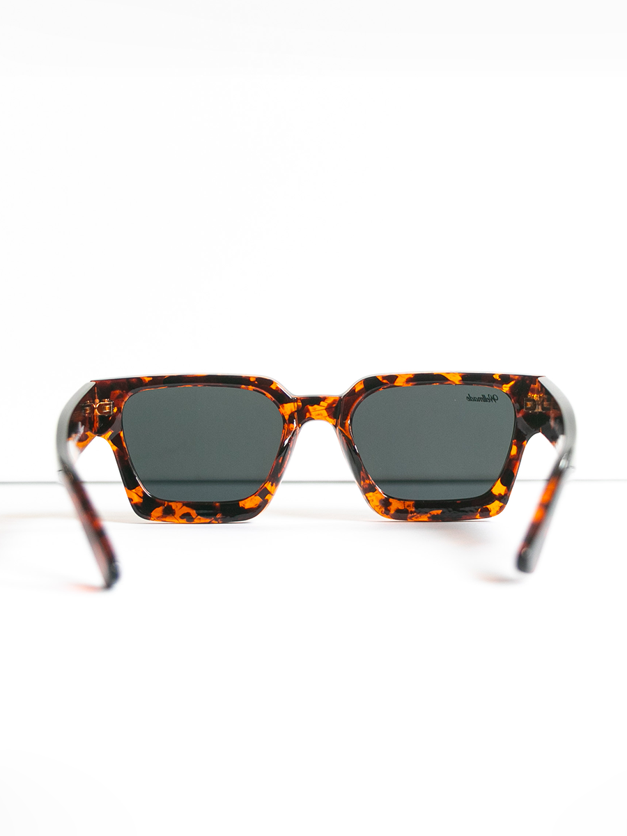 The Sunnies